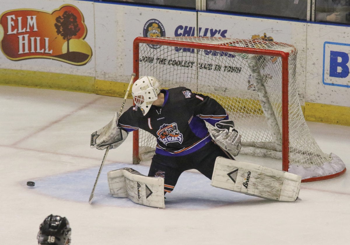 The Knoxville Ice Bears Cityview
