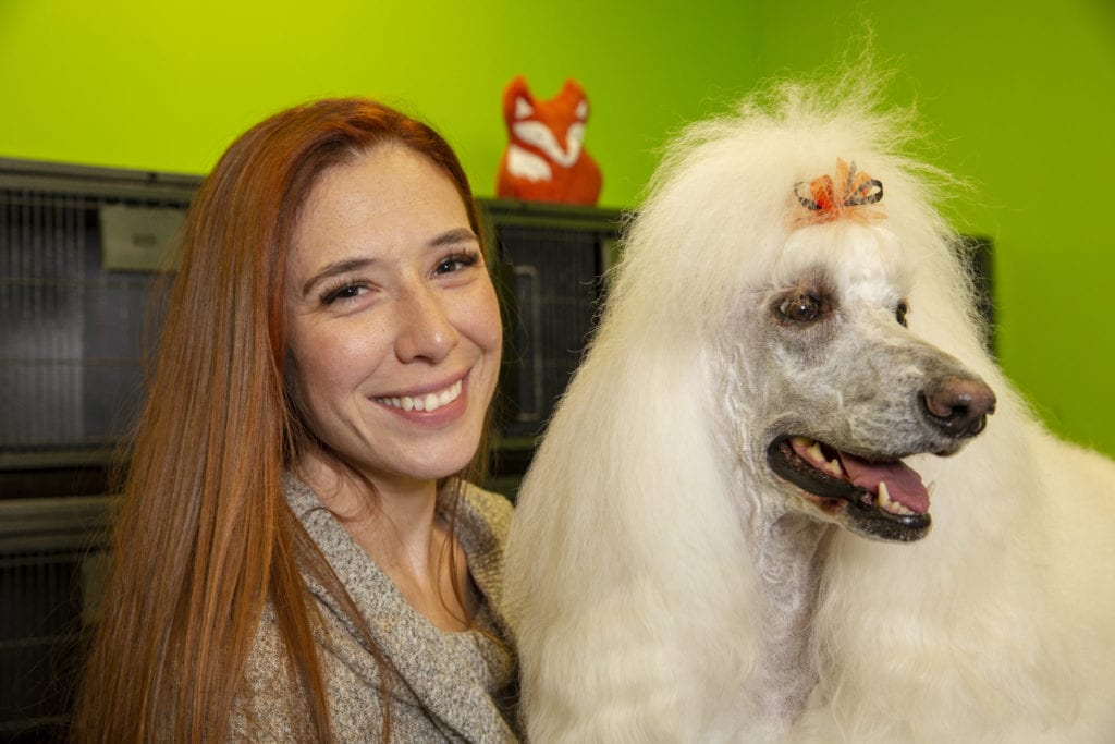 Foxy Locks Pet Grooming & Doggie Daycare Cityview