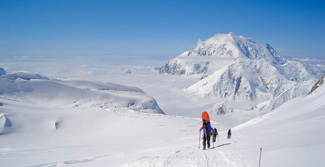 Denali | John Quillen