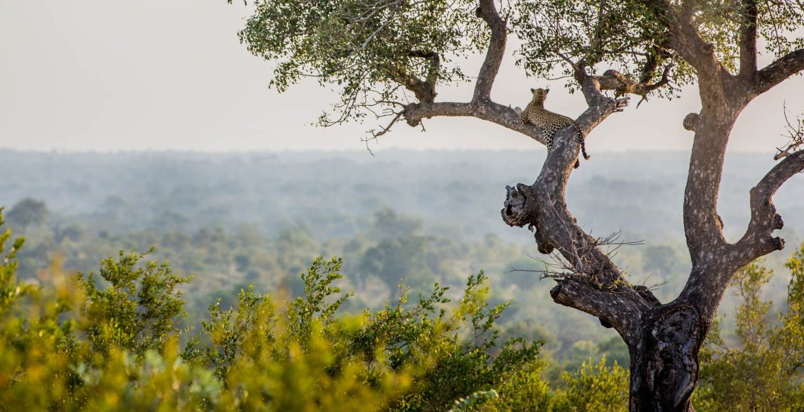 Southern Africa | Photo by April Thomas