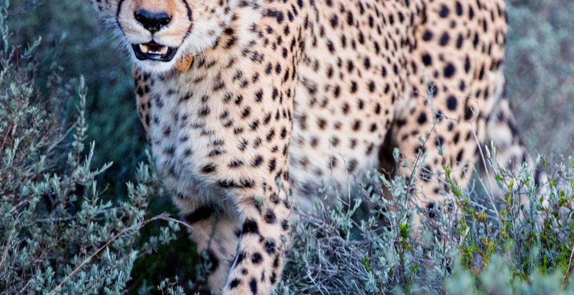 Africa2023-0378-002-rt April Thomas