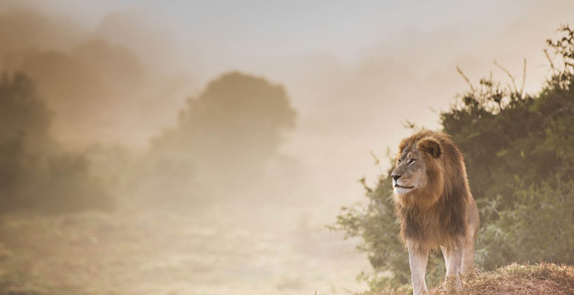 Southern Africa | Photo by April Thomas