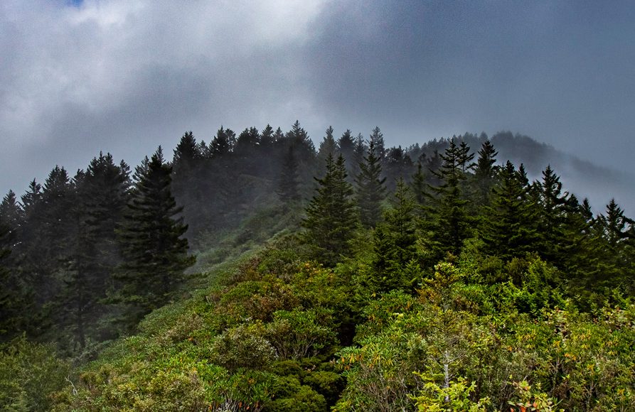 IMG_1293-HDR-extended