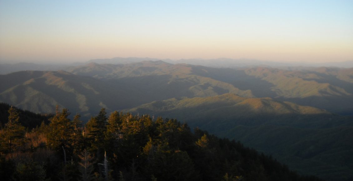 View from the Firetower